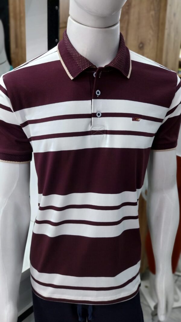 Camiseta Gola Polo Listra Raport 7012